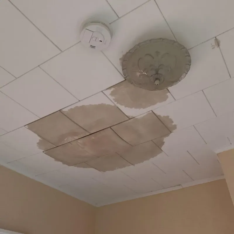 Ceiling Water Damage Repair in Jefferson, NH