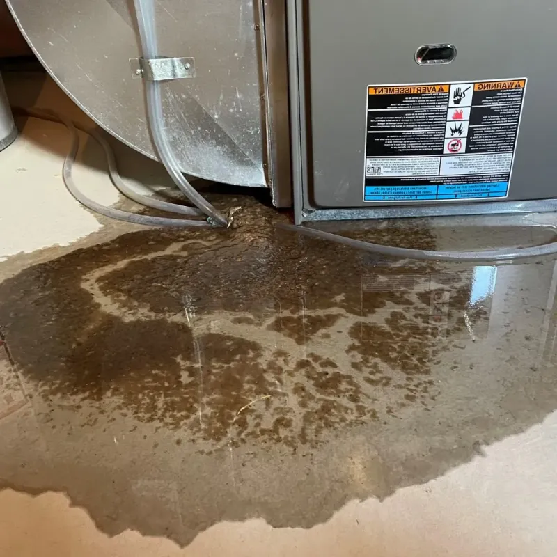 Pipe Burst and Leak Restoration in Jefferson, NH